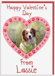 Valentines Day Card Dog Cat Photo Personalised Pet Pets Name and Photo - Picture 1 of 7