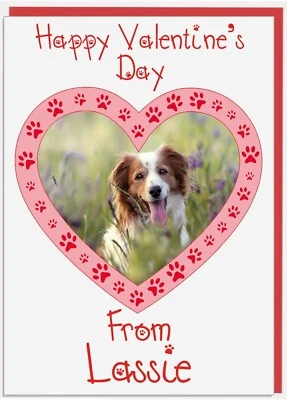 Valentines Day Card Dog Cat Photo Personalised Pet Pets Name and Photo  - Image 1 of 4