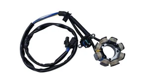 STATORE MOTORE ALTERNATORE GENERATORE PER HONDA CRF 250 X (2004-2017) - Imagen 1 de 10