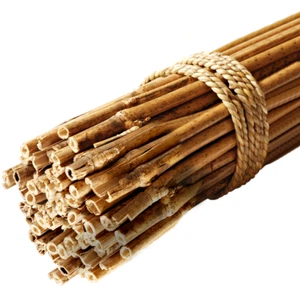 GroundMaster Garden Bamboo Canes Quality Strong Sturdy Plant Support Poles - Picture 1 of 89