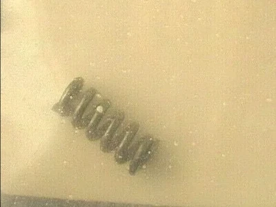 Muelle de compresión Yamaha YZ100, YZ125, DT125, DT175 NOS 90501-10459 CANTIDAD 2 Foto 1 de 4