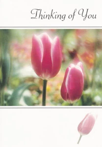 Tulips THINKING OF YOU Caring Card With Bible Text Psalms 143:8- EB8806 - Picture 1 of 1