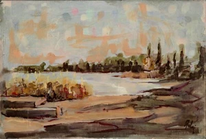 " LUCE E COLORI " G. ADORNI 1998 (20x30x0,5 cm) OLIO SU CARTONE TELATO - Picture 1 of 2