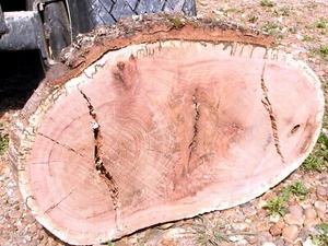 Natural Edge Black Jack EICHE Holzplatte, GEHOBELT, Doppelherzen, 19,5"" x 11,5"" LDH - Bild 1 von 5