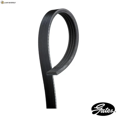 KEILRIPPENRIEMEN 4PK1300 FÜR FORD MGDA/XQDA 2.0L 4cyl FOCUS III - Image 1 of 4