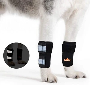 NeoAlly - Front Leg Brace for Dogs and Cats, Dog S/M (1 Pair), Black - Picture 1 of 1