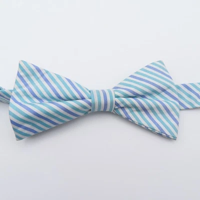 Wembley Bow Tie Polyester Blue Purple Sriped 2.5" Wide Pre Tied Seersucker - Image 1 of 4