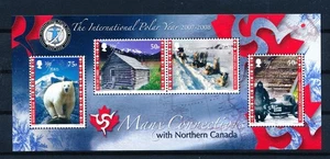 LS55867 Isle of Man 2008 international polar year good sheet MNH - Picture 1 of 1