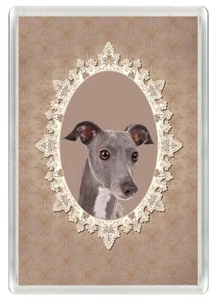 ITALIAN GREYHOUND BEAUTIFUL HEAD STUDY NOVELTY FRIDGE MAGNET GREAT GIFT - Picture 1 of 1