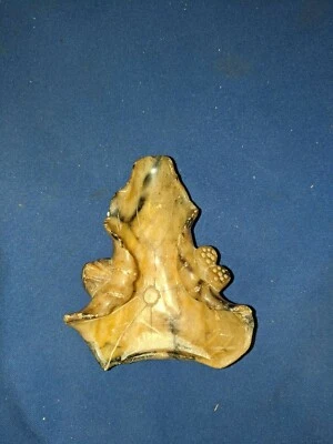 Китайский ручной работы мыльный камень маленький лотос водяная лилия лист щетка блюдо около 4,5 «W - Изображение 1 из 4