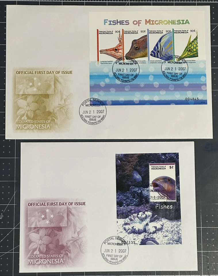 MICRONESIA 2007 - 2 Large FDC With STAMP SHEETS. FISHES (MARINE LIFE) SC 742-3 - Image 1 of 1