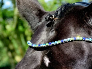FSS OCEAN DAZZLE 6mm Crystal BLING Curve SAPPHIRE BLUE GREEN AQUAMARINE BROWBAND - Picture 1 of 12