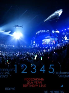 11th YEAR BIRTHDAY LIVE 5DAYS (DVD) (Limited Edition) - Imagen 1 de 1