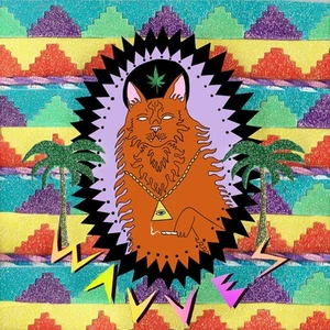 Wavves King Of The Beach (Vinyl) (US IMPORT) - Picture 1 of 2