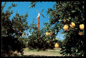 Postkarte Windmaschine in Desert Grapefruit Grove, AZ - Bild 1 von 2