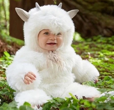 Pottery Barn Kids Baby Woodland Baby Billy коза костюм 0-6 месяцев новый - Изображение 1 из 4