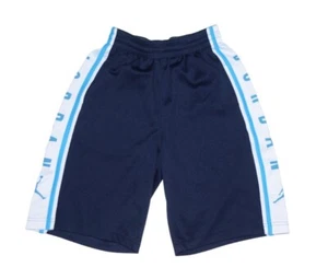 Jordan Air Boys Basketball Shorts Size L Blue Jumpman Spellout - Picture 1 of 7