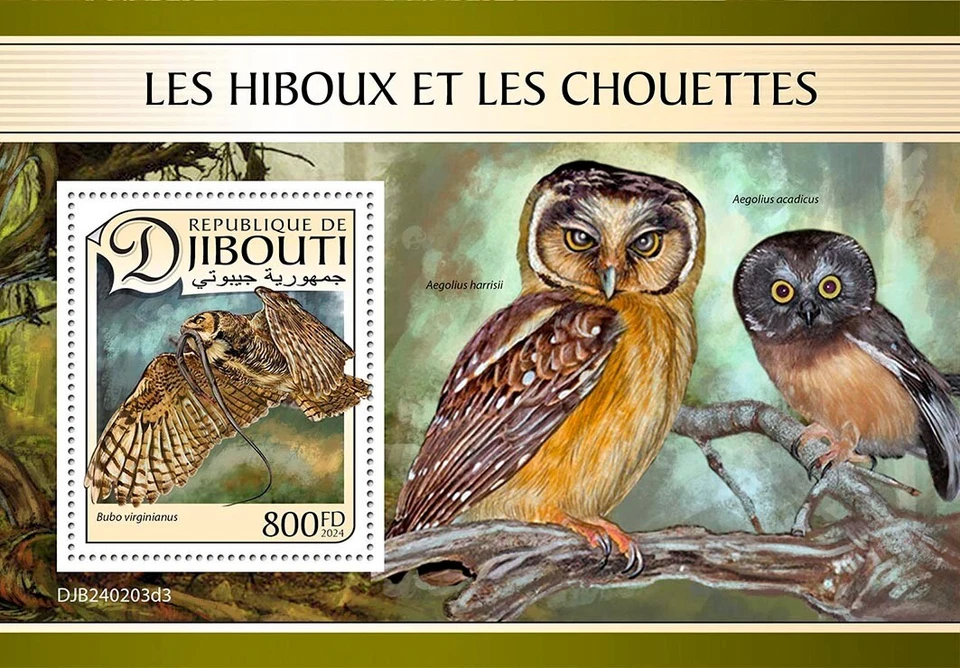 Estampillas de búhos MNH 2024 Djibouti S/S Foto 1 de 1
