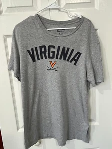 Camiseta Champion University Of Virginia Gris Unisex L- Excelente Estado - Imagen 1 de 2