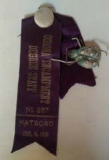 1896 IOOF Hatsboro Corona Encampment Odd Fellows Pin Badge Ribbon W/ Bug
