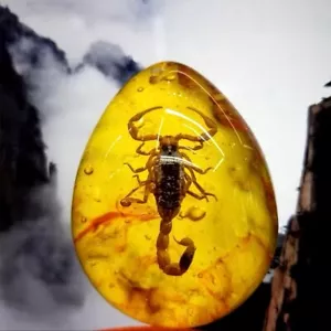 Amber Variety with Inclusion Scorpion (Polybern) 250 Million BC - Picture 1 of 24