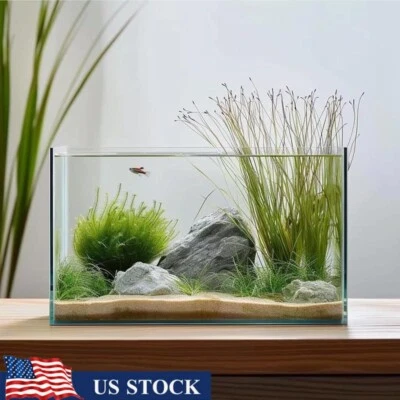 Acuario de vidrio sin marco de 3 galones fácil mantenimiento Betta Goldfish camarones caracoles nuevo Foto 1 de 4