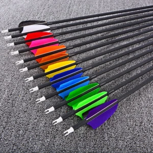 12Pcs 30'' Archery Carbon Arrows 3'' Turkey Feather SP500 Recurve Bow Shooting - Picture 1 of 24