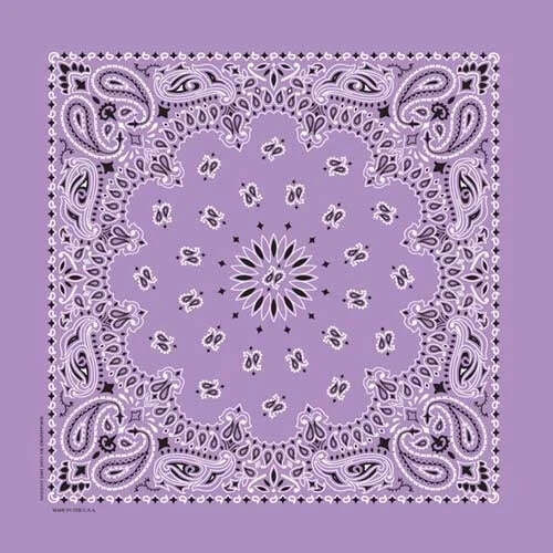 Bandana 100 Algodón Estampado Paisley Doble Cara Bufanda Cabeza Cuello Mascarilla 22"X22" Foto 1 de 1