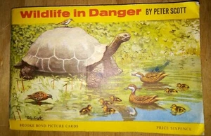 Wildlife in Danger - Brooke Bond Album and Cards (by Peter Scott 1963). - Picture 1 of 3