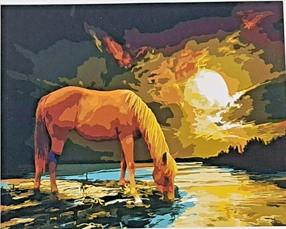 Set of 3 - DIY Paint by Numbers Framed Canvas Large Size 40cmx50cm Birds