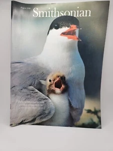 August 1980 Smithsonian Magazine ● Beak agape, a Parent Tern guards young chick - Picture 1 of 2