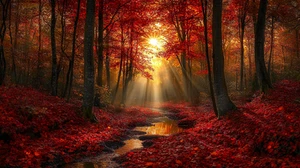 Canvas Art Gold Sunset Red Autumn Forest Landscape Wall Picture Poster Print - Picture 1 of 22