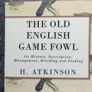 game fowl poultry old english rare breeding cocking hens atkinson varieties - Imagen 1 de 3