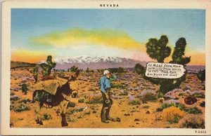 Hombre varado en el desierto con burro NEVADA LINO POSTAL D13 - Imagen 1 de 2