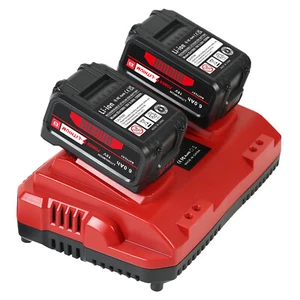 2x 18V 6,0Ah batería de litio y cargador doble para Einhell 18V POWER X-CHANGE - Imagen 1 de 12