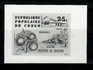 Photo Essay, Congo Sc569 Loudima Fruit Packing Station, Orange. - Picture 1 of 1