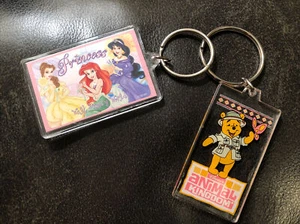 Disney World Princess Keyring-Winnie the Pooh Animal Kingdom Safari Keychain - Picture 1 of 7