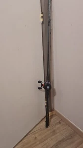 Canne à pêche casting + moulinet (carnassier/ BROCHET, À VENDRE - Photo 1/4