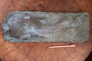 Escultura danesa de bronce de peces de buceo Mogens Boggild Brutalist - Copenhague moderna - Imagen 1 de 23