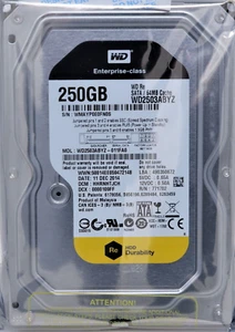 WD2503ABYZ-011FA0 WESTERN DIGITAL 250GB 7200 RPM 64MB SATA3 3.5" HDD TESTED* - Picture 1 of 2