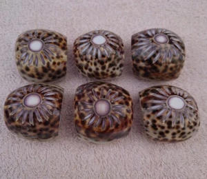 Napkin Rings Seashells 6 Real Cowrie Sea Shell Napkin Holders Natural - Picture 1 of 11