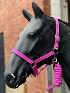 Equipride Reflective Headcollar and Lead Rope Set Neoprene Padded Full-Shetland - Picture 1 of 25