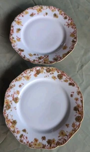 Haviland & Co Limoges France TW0 9 In Scalloped Floral Plates Daisies Gold Trim - Picture 1 of 24
