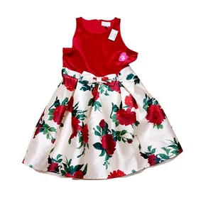 Floral Velour Fit And Flare Dress Size 14 Girls Nwt - Picture 1 of 4