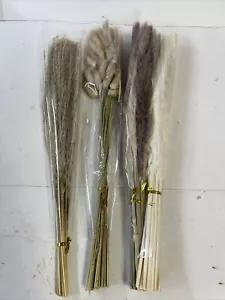 Dried Pampas Grass Decor, Pampas Grass Contains Bunny Tails Dried Flowers - Picture 1 of 1