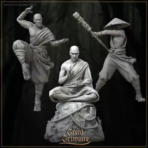 Exiled Monk Set | Great Grimoire | RPG D&D Wargaming 3D Printed Miniature - Picture 1 of 4