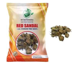 Rote Sandelholzwippen (1 kg) Pterocarpus Santalinus Lal Chandan | Raktachandan - Bild 1 von 3