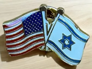 Israel Army IDF Israel U.S.A Coordination Unit Pin Flag - Picture 1 of 2