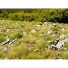 Grasmatte mit vielen Steinen 18 x 28 cm Sptsommer - Begrnung Landschaft