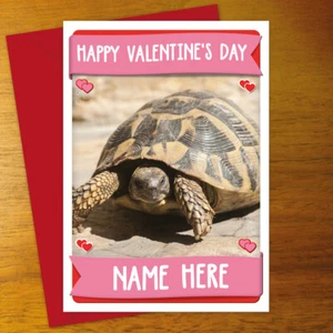 TORTOISE Personalised VALENTINE'S DAY Card - personalized anniversary romantic - Picture 1 of 1
